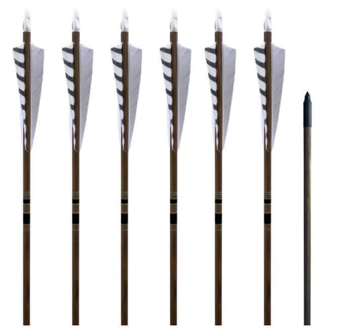 Classic Traditional Arrows