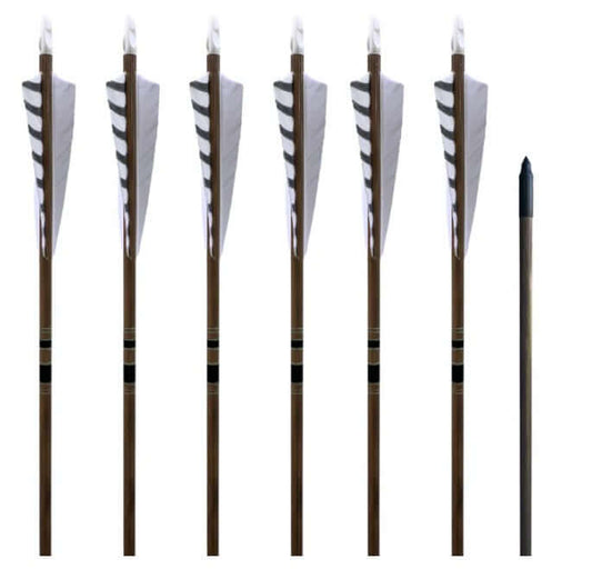 Classic Traditional Arrows