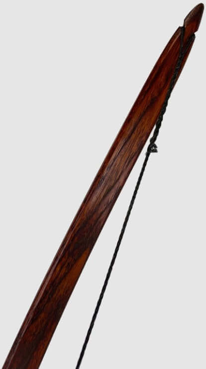 Bushman hunting flatbow 65 inch close-up, showcasing its sleek design and string for optimal performance.