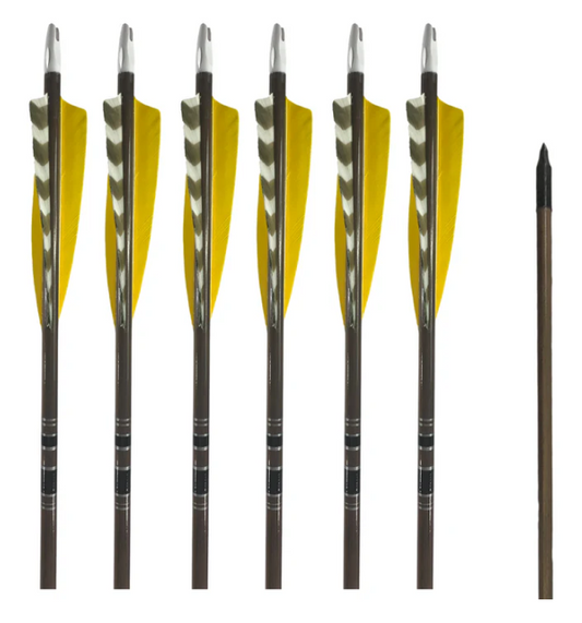 Classic Traditional Arrows