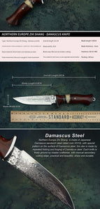 VG10 Damascus Steel Hunting Knife with Sheath Handmade Fixed Blade